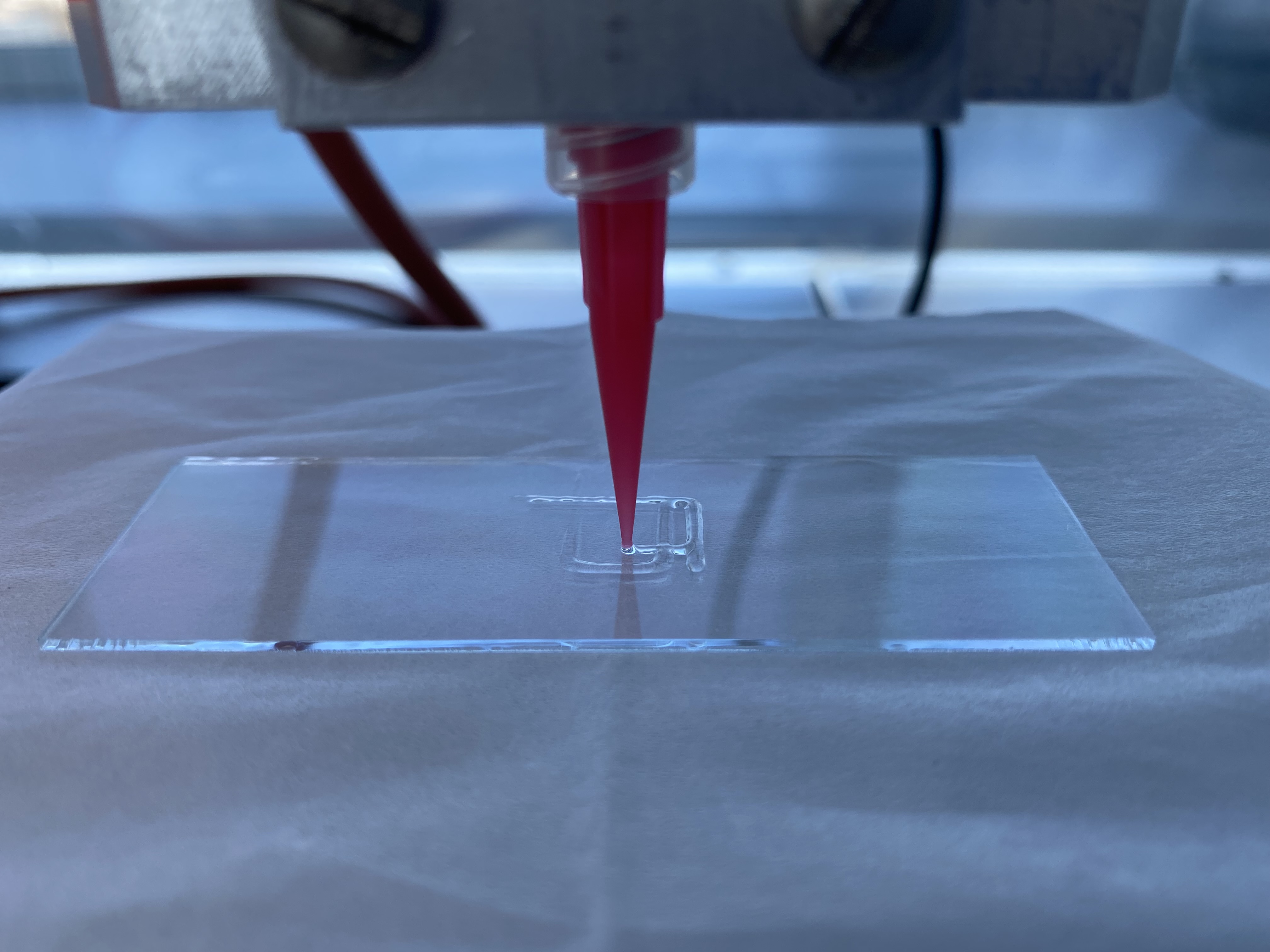 3D printing of crosslinkable, at Fraunhofer IGB developedv, bio-ink.