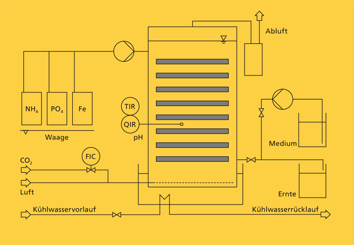 Outdoor facility for microalgae production with 30-liter FPA reactors.