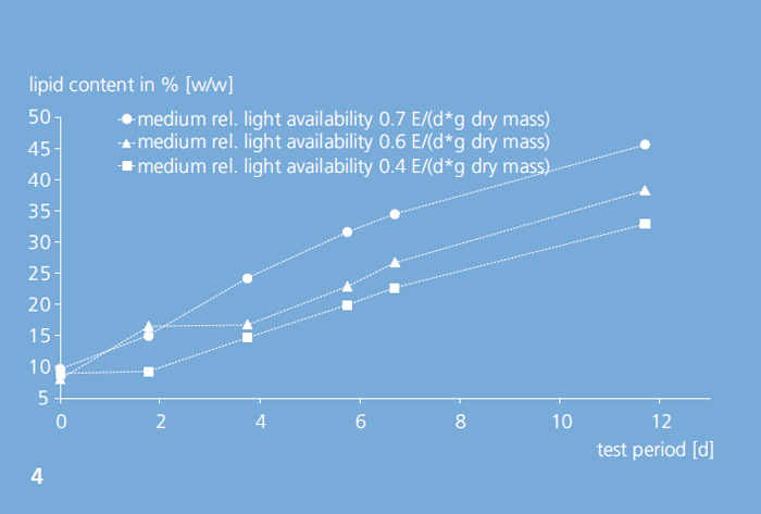 Lipid content of a nitrogen-limited outdoor culture of Chlorella vulgaris.