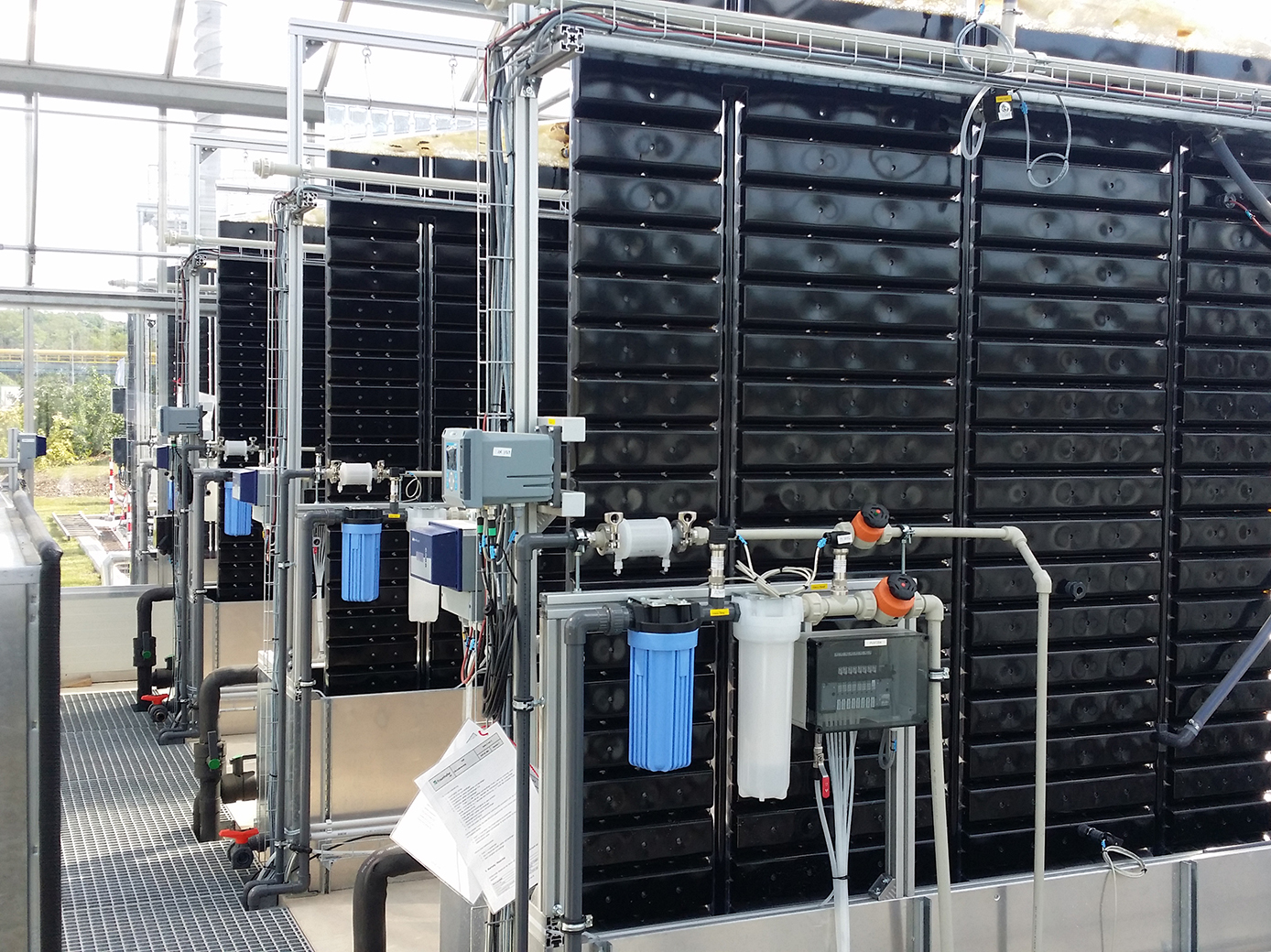 FPA reactor for the production of Phaeodactylum tricornutum.