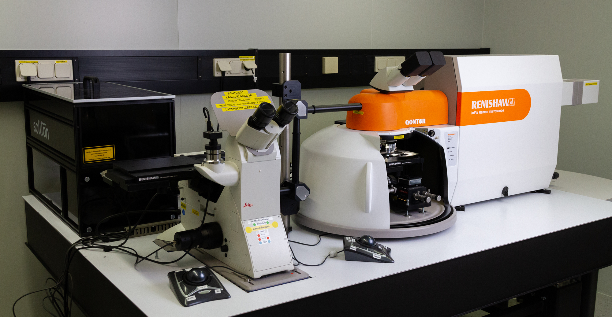 Raman spectroscopy and microscopy.