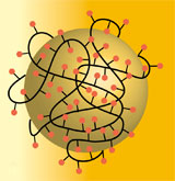 Application example "PEGylation" of gold particles to improve biocompatibility.