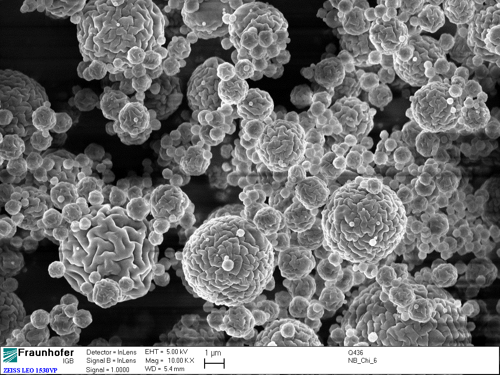 Chitosan particles.