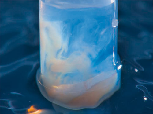 Ultrasound treatment for the re-suspension of the surfmer nanoparticles after centrifugation.