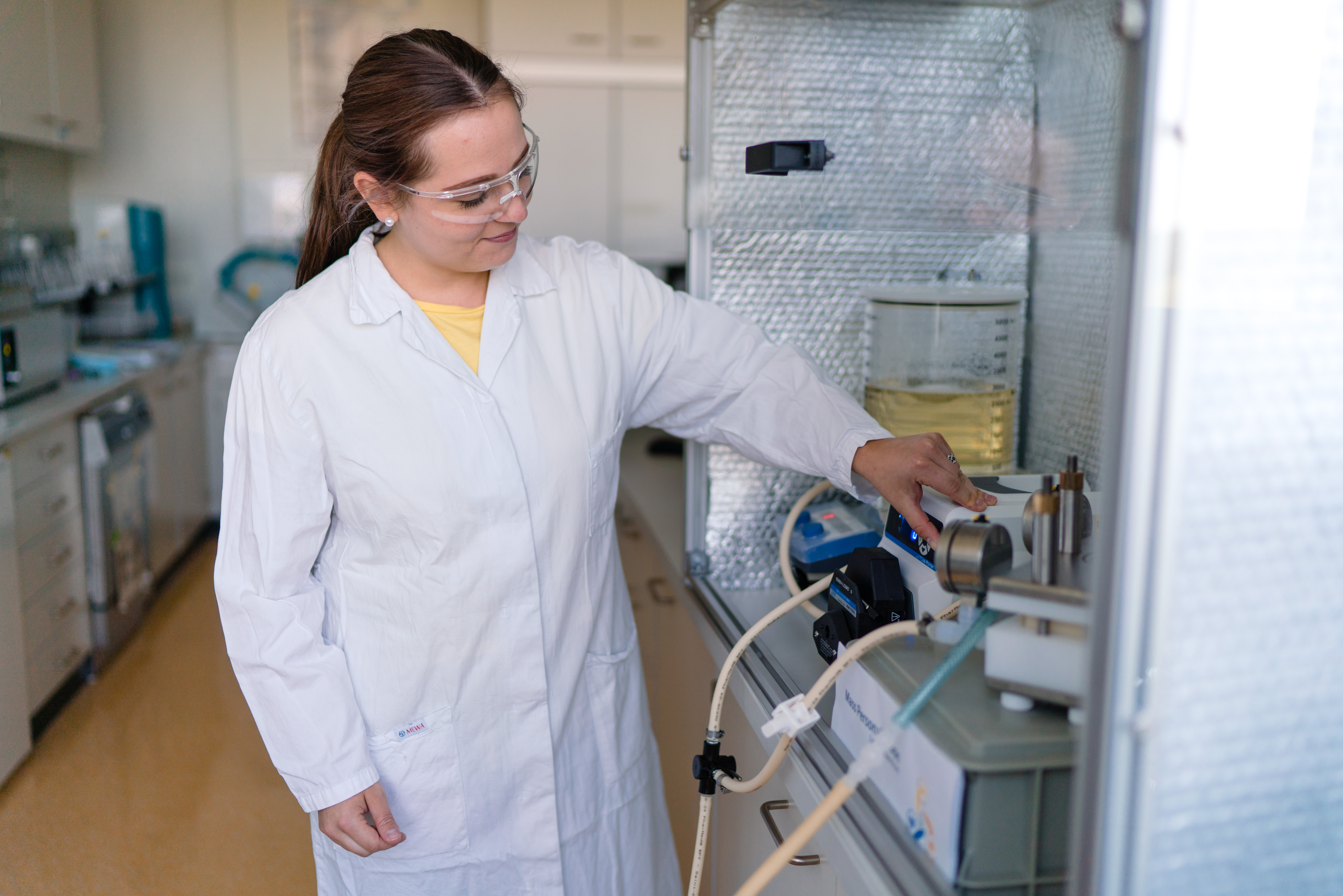 Purification of modified biopolymers via a tangential flow system.