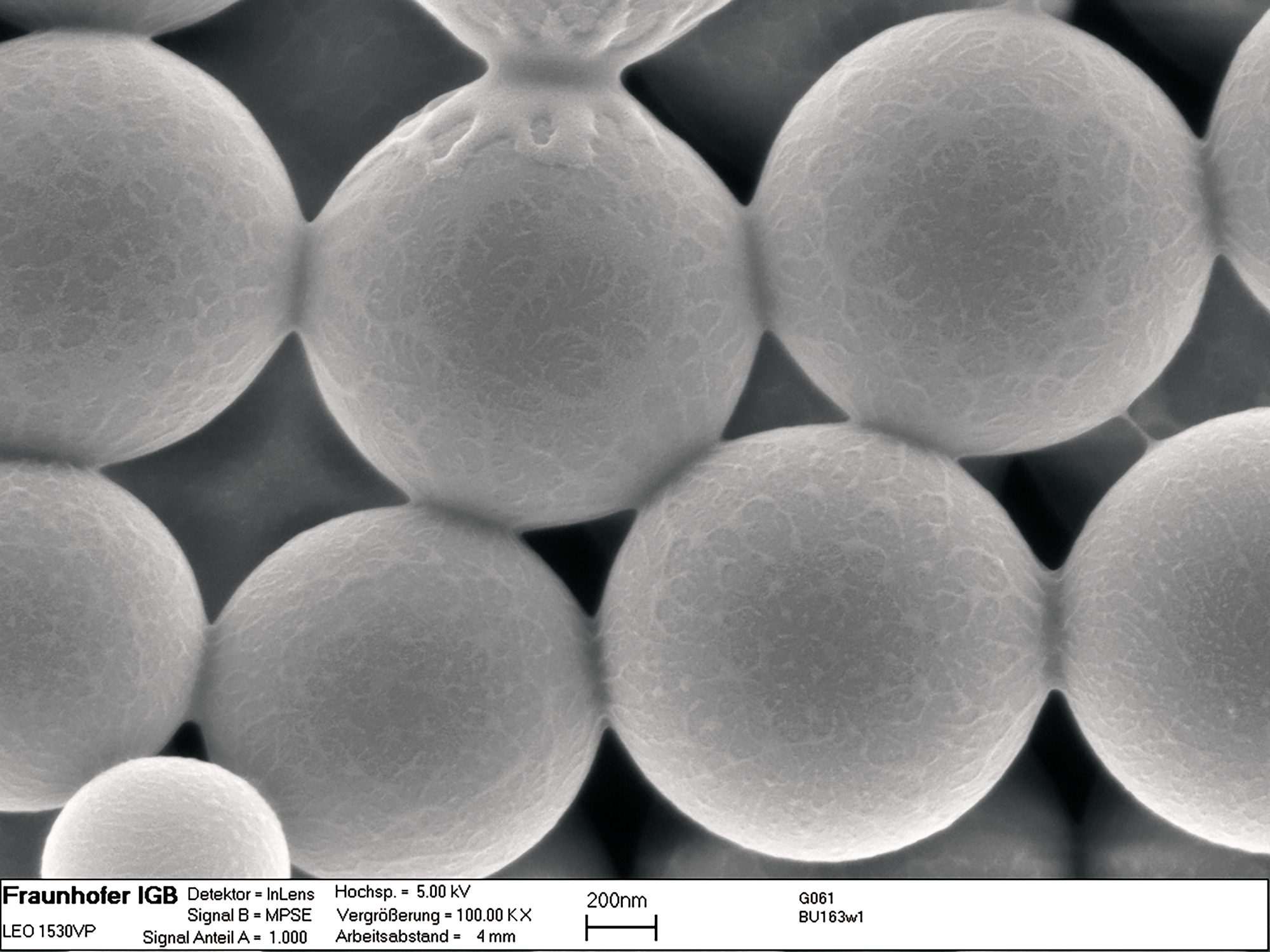 Nanocytes.