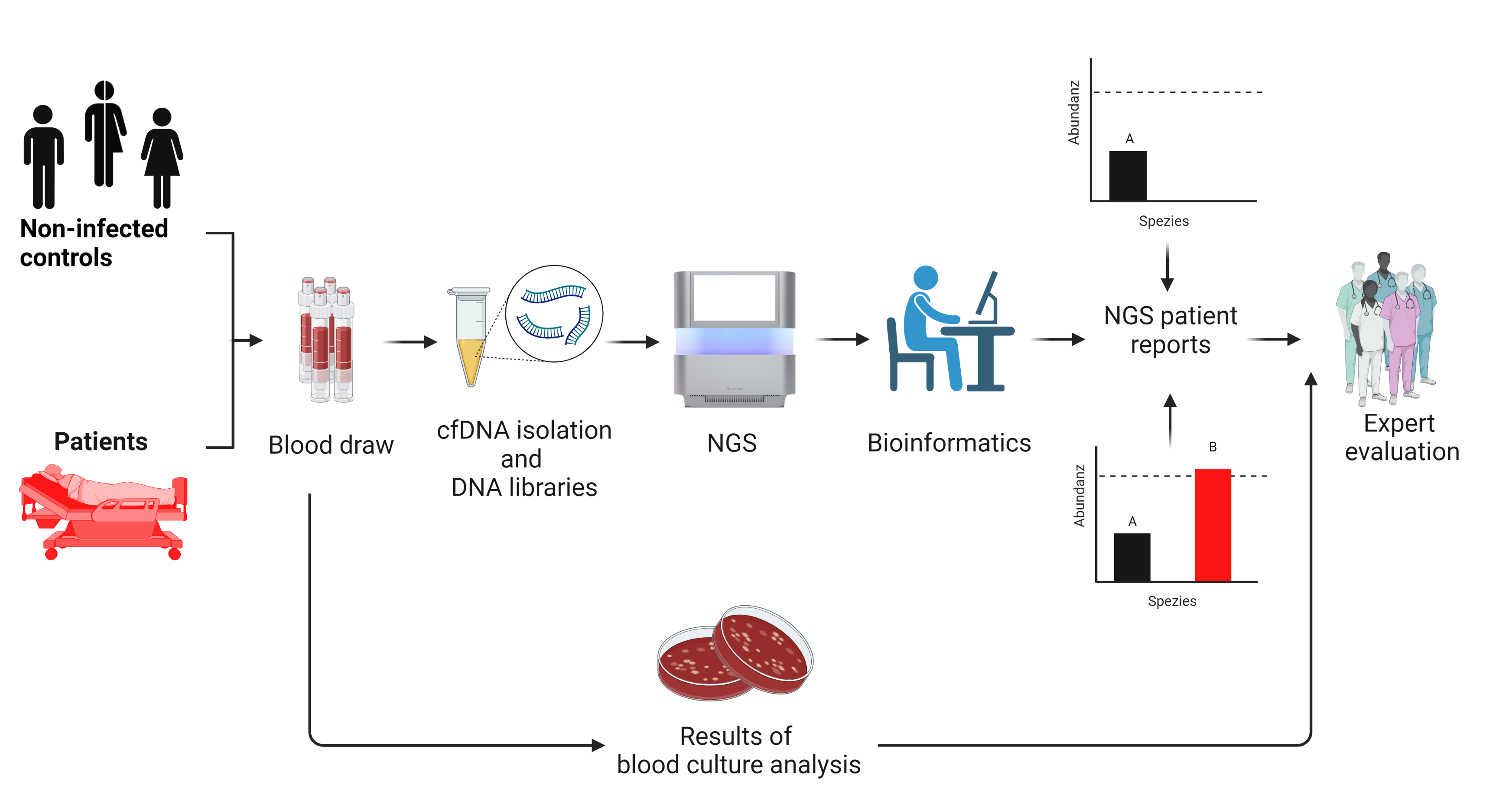 Overview of NGS-driven sequencing of cfDNA for sepsis diagnosis 