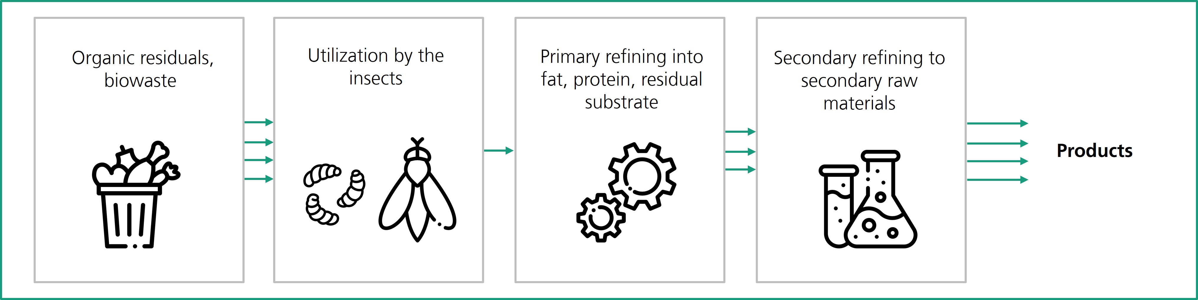 In the InBiRa project, an insect biorefinery is being built for the first time, in which waste and residual streams are converted into new high-quality products.