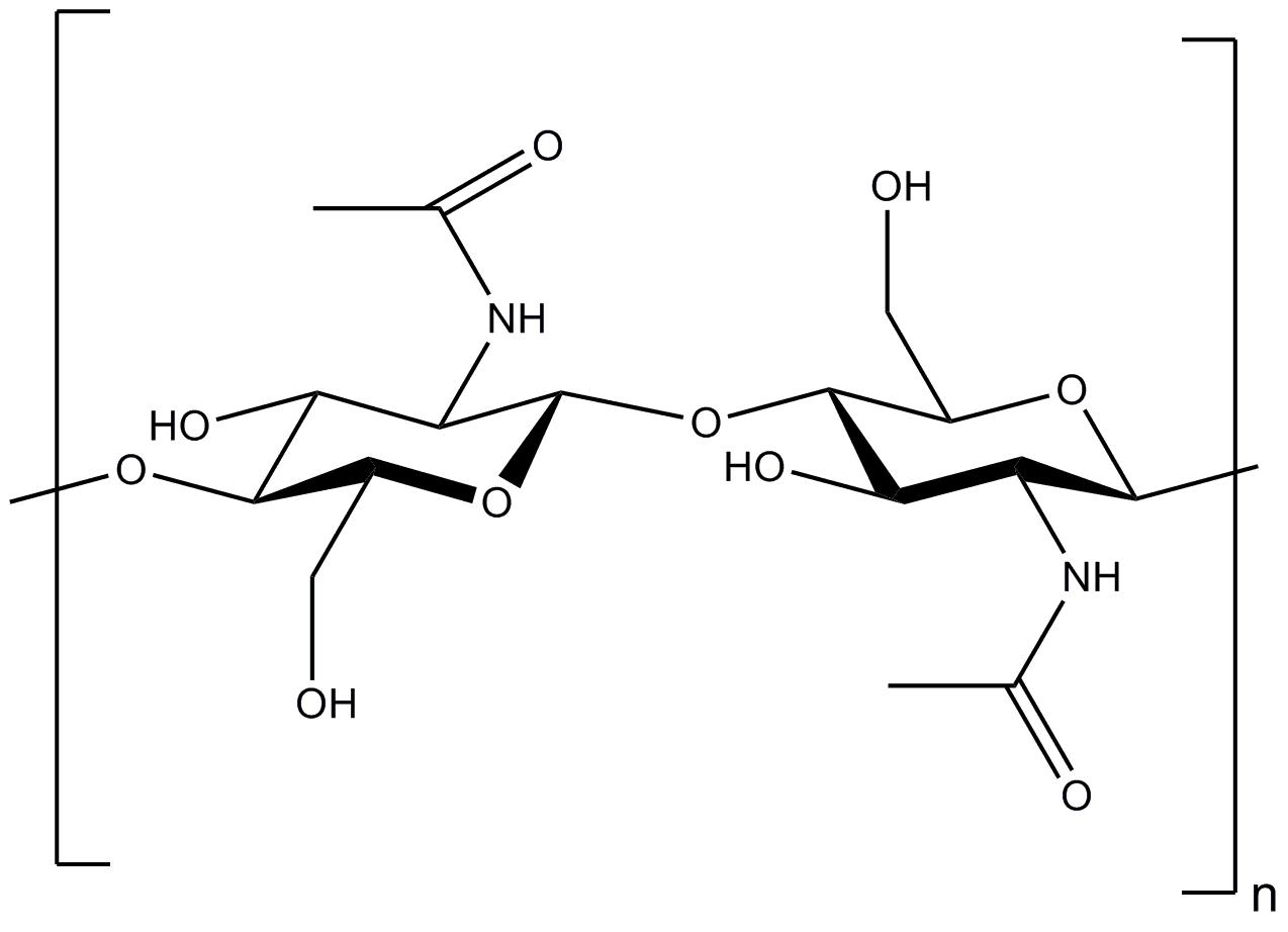 Structural formula of chitin. Structural formula of chitin.