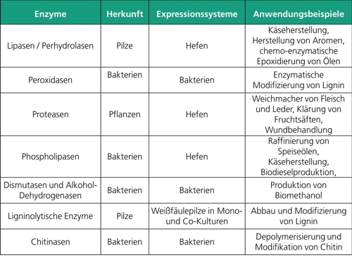 Enzymes already produced at the institute and their possible fields of application.