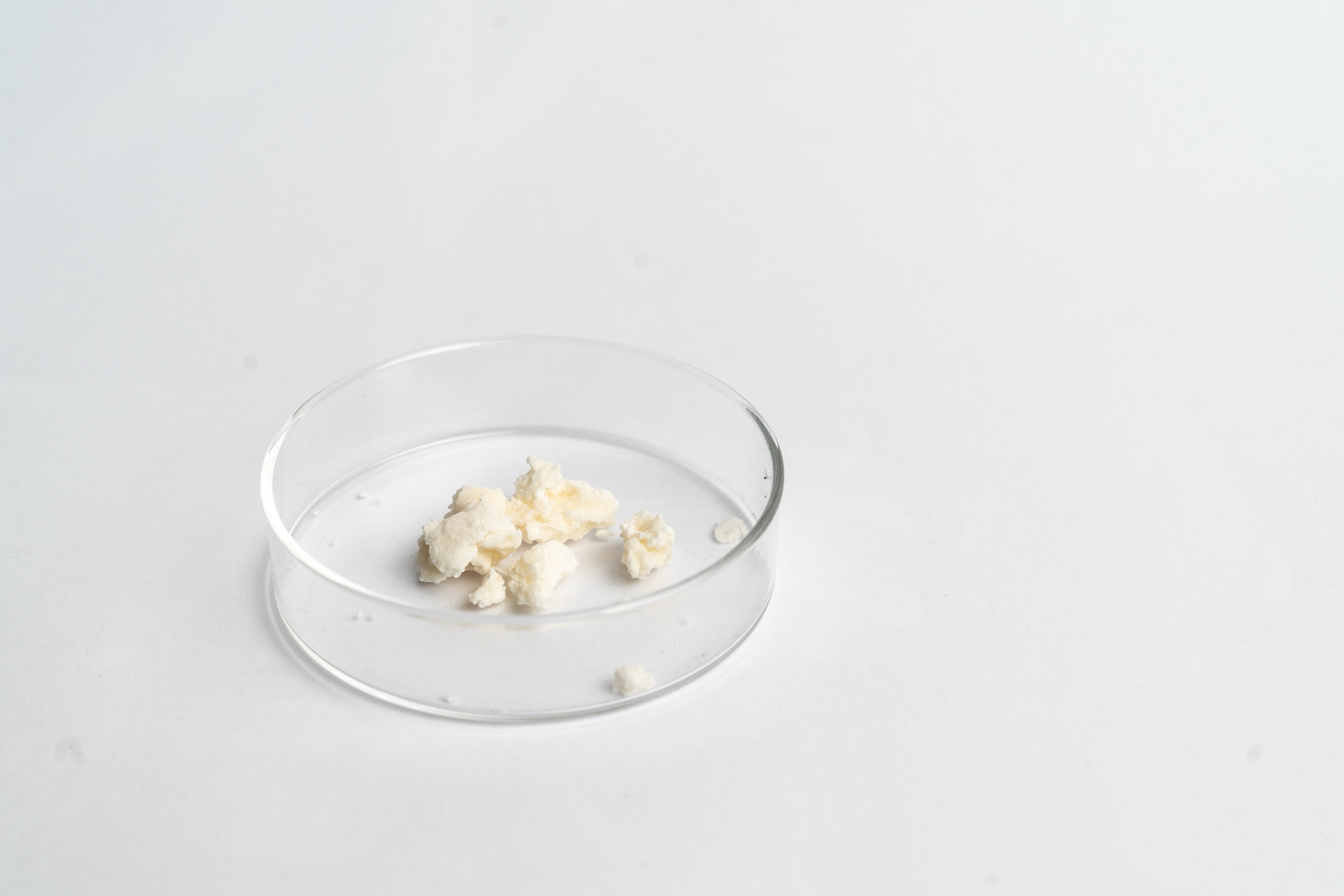 Homopolymer malic acid