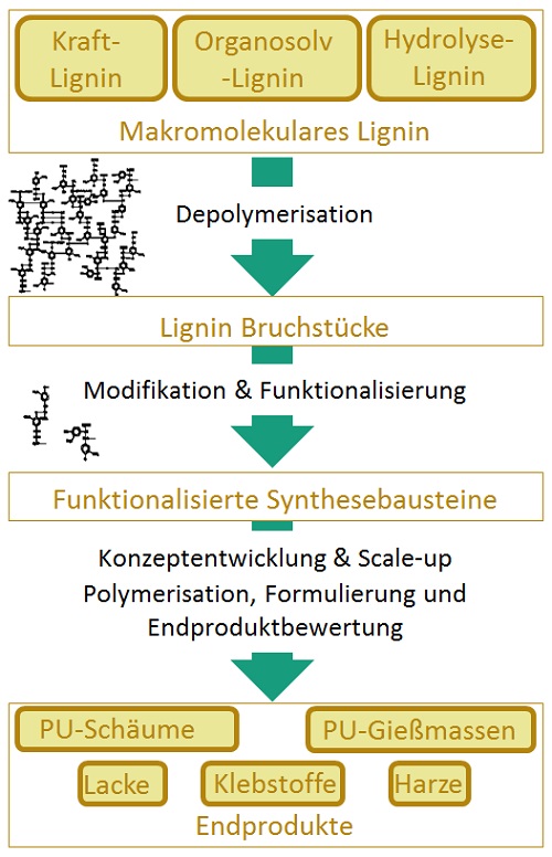 Diagram of the Lignoplast project. Diagram of the Lignoplast project.