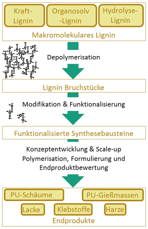 Diagram of the Lignoplast project.