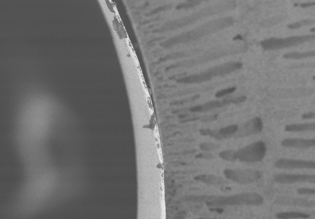 Scanning electron microscope image of a PdAG-coated hollow fibre membrane.