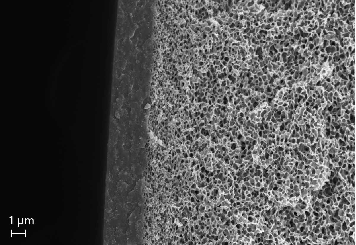 PVA coating filled with ZIF-8 nanoparticles