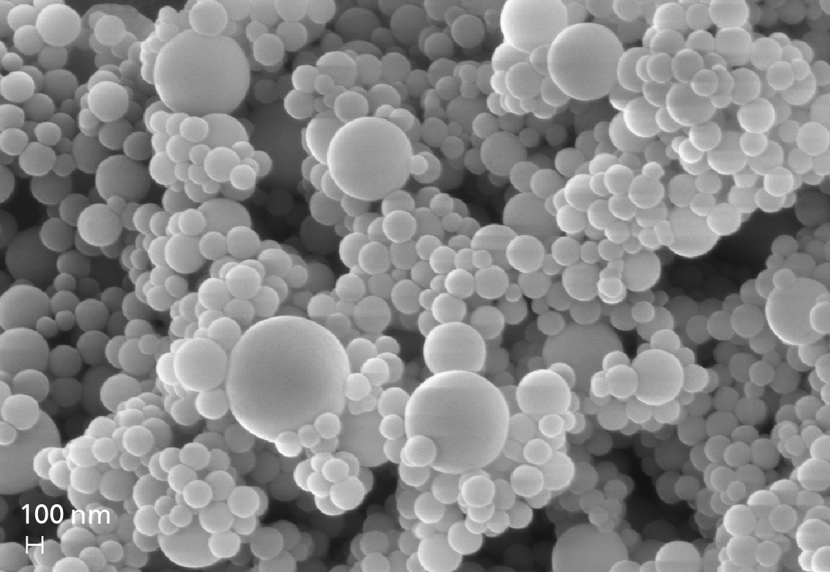 SEM image of porous adsorber particles