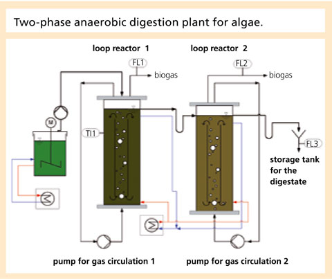 Two-phase anaerobic digestion plant for algae.