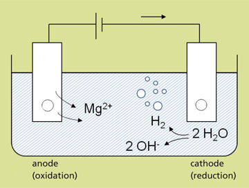Struvite precipitation process.