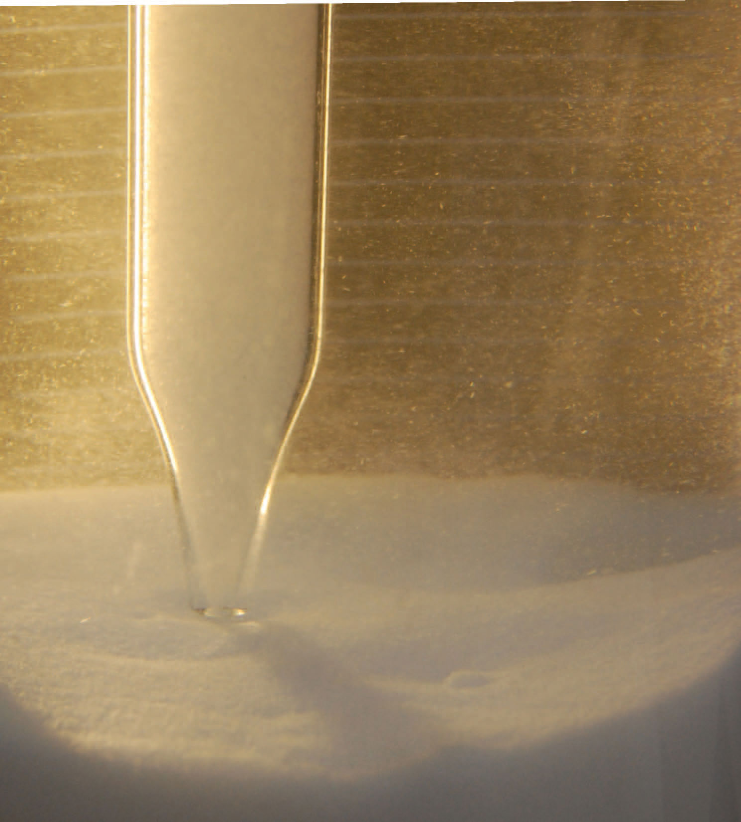 MAP crystals recovered after a biological purification process.