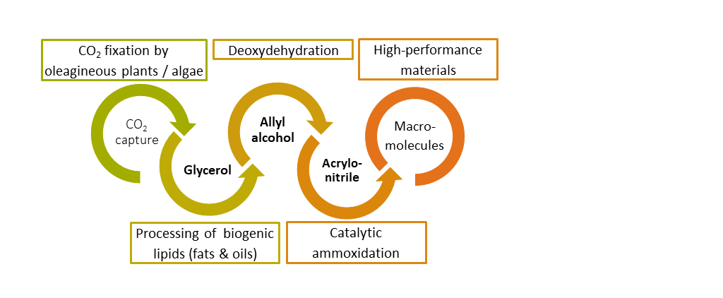 Process diagram for the synthesis of acrylonitrile from renewable raw materials