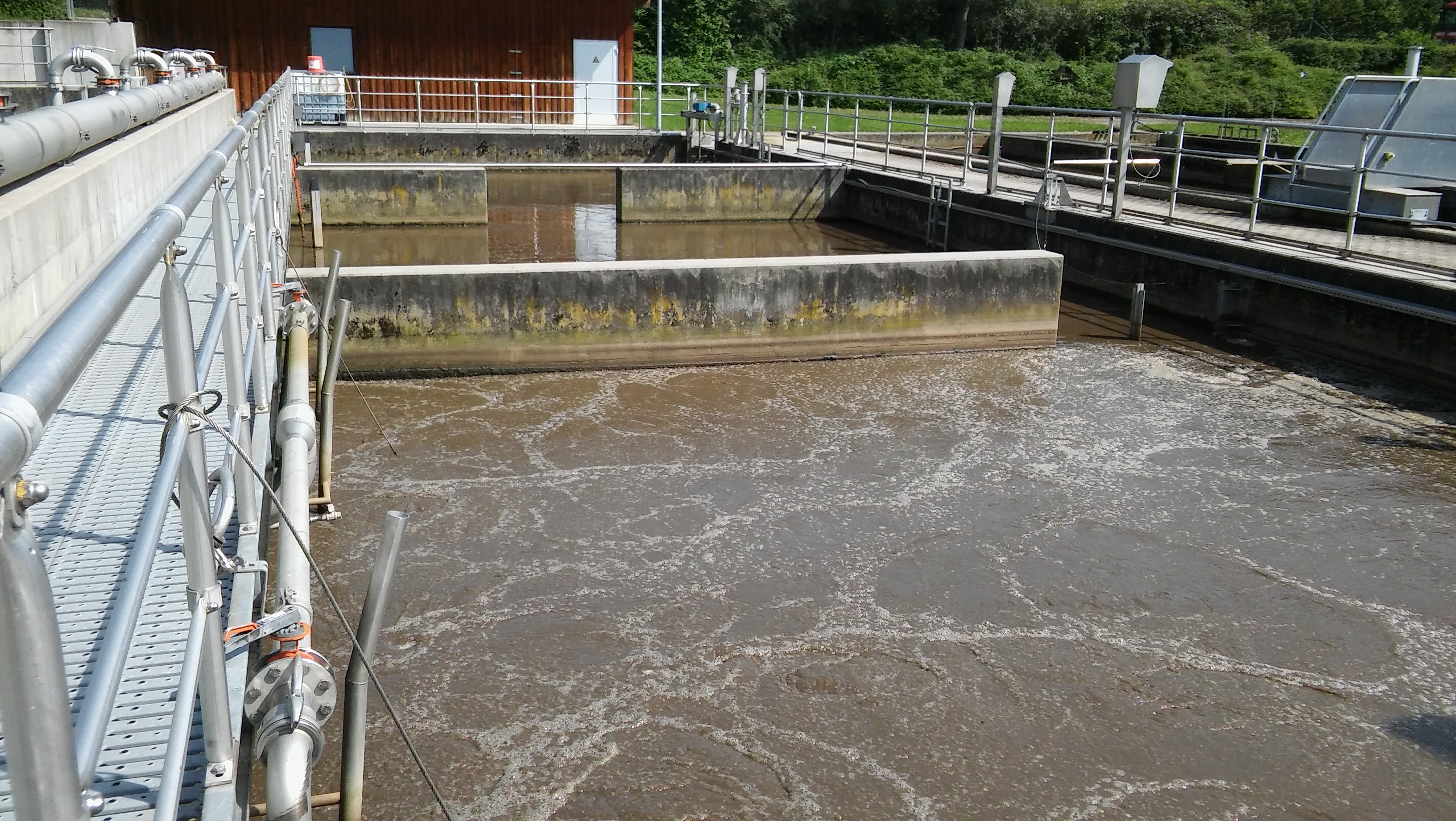Activation tank of a wastewater treatment plant
