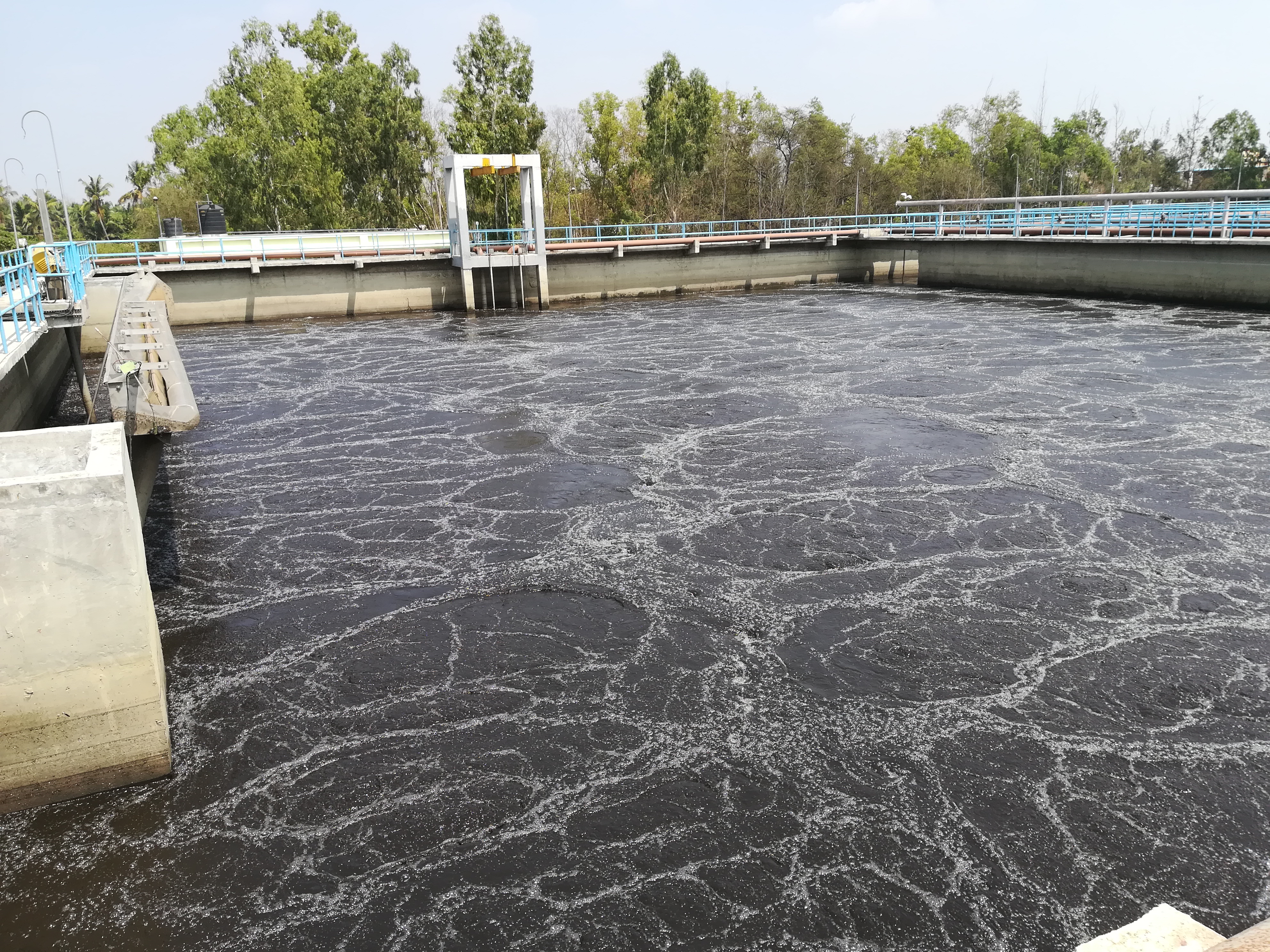 Activation tank of a wastewater treatment plant
