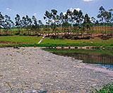  View of a decentralised sewage treatment plant with a near-natural process.