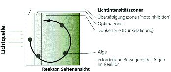 Representation of the light zones in a rectangular reactor and the circular movement required to improve the use of light.